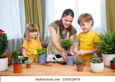 Happy Mother And Two Kids Plant Flowers.  Happy Family Gardening Near Window At Home. 