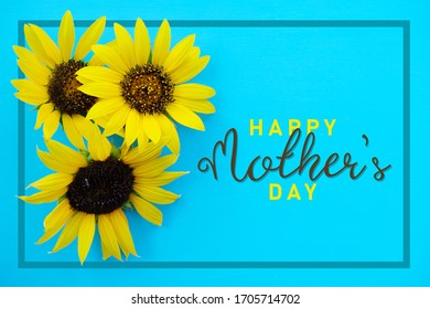 Mothers Day Sunflowers Stock Photos Images Photography Shutterstock