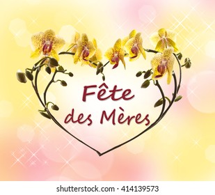 Fete Des Meres High Res Stock Images Shutterstock