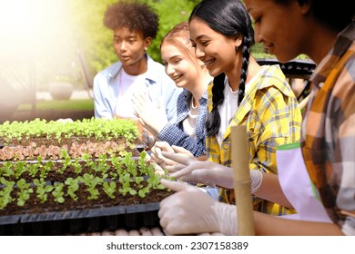 Happy Multi-Cultural Children teenage. Group portrait diverse teenage boy and girls. Group of teenage doing the activity on an organic farm.
