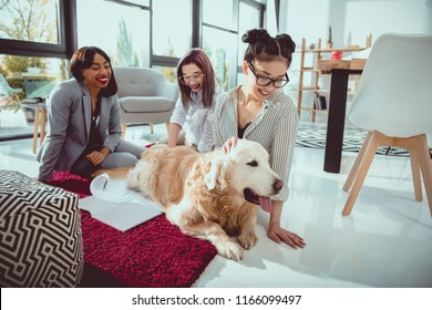happy multiethnic businesswomen petting furry dog while sitting on the floor at office