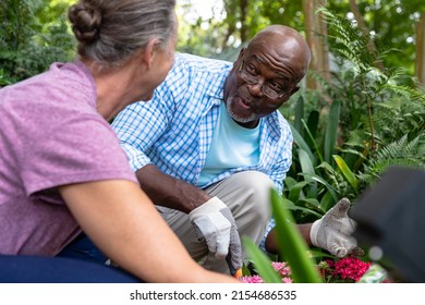 Happy multiracial senior couple planting together in backyard. unaltered, lifestyle, retirement, togetherness, hobbies, active seniors, environment, gardening.