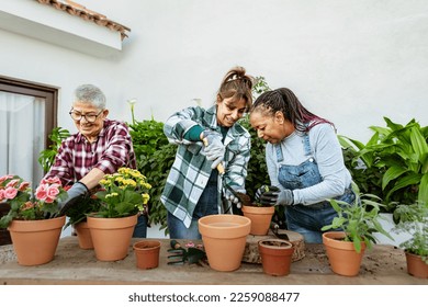 Happy multiracial women gardening together at home - Powered by Shutterstock