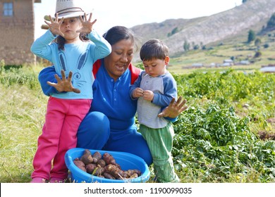 Happy Native American Family On The Potato Field Showing Dirty Hands.