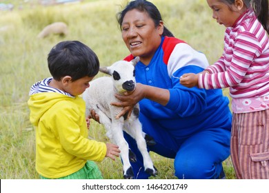 Happy Native American Family Taking Care Of A Little Lamb.