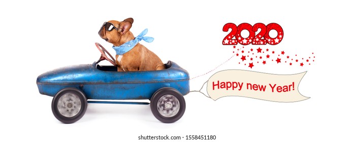 Happy New Year 2020, Cute Dog In Pedal Car With Greetings For New Year