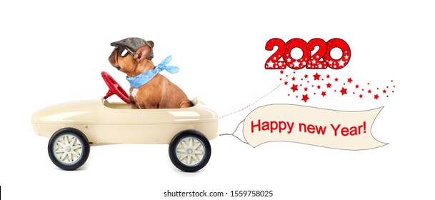 Happy New Year 2020, Cute Dog In Pedal Car With Greetings For New Year