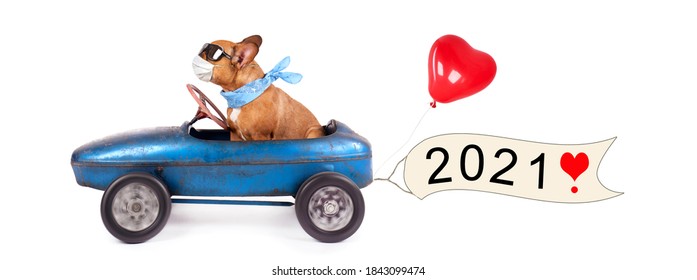 happy new year 2021, cute dog in pedal car with greetings for new year
