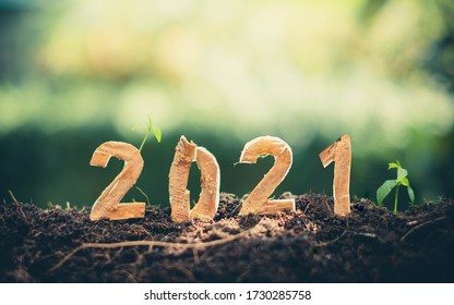 Happy New Year 2021 Social Media Video.2020-2021 Change Background New Year Resolution Concept.wood Text On Ground.Perfect For Your Invitation Or Office Card