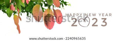 'HAPPY NEW YEAR 2023' in green and pink colors with colorful branches and leaves background, concept for greeting invitation card and happy new year 2023 concept.