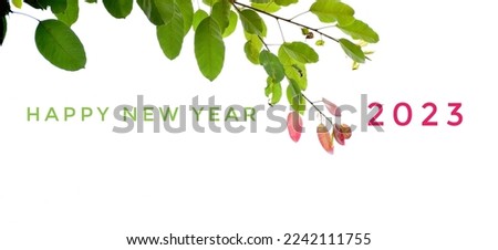 'HAPPY NEW YEAR 2023' in green and pink  color with colorful branches and leaves background, concept for greeting invitation card and happy new year 2023 concept.