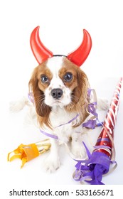 Happy new year! Devil dog illustration.  King charles spaniel with devil hat. Carnival evil devil costume. New Year's Eve. Cavalier king charles spaniel dog sylvester.
masquerade Sylvester devil dog.