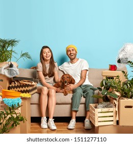Happy newlywed couple pose on sofa with favourite pet, have good mood after moving in new apartment, surrounded with unpacked belongings, isolated on blue. Relocation and changing place of living - Shutterstock ID 1511277110