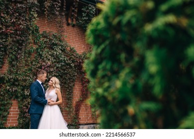 Happy Newlyweds Standing Near The Wall Of The Old Castle