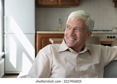 Happy old 60s man looking in distance, lost in positive thoughts. Joyful male senior pensioner recollecting good memories, dreaming or meditating alone at home, enjoying peaceful moment indoors.