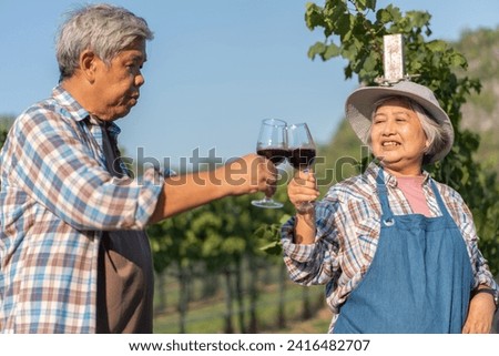 Happy old elderly couple with a glass of red wine celebrate the good harvest of grapes.  Old couple of Asian flavors and checking red outside in a vineyard on a vineyard background.