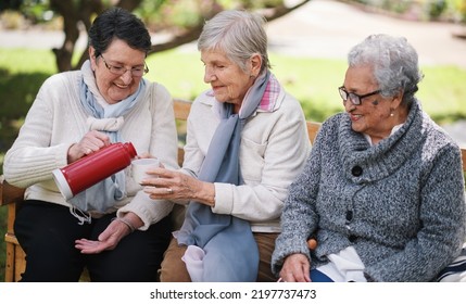 Happy Old Women Sitting On Bench In Park Drinkign Tea Enjoying Retirement Together