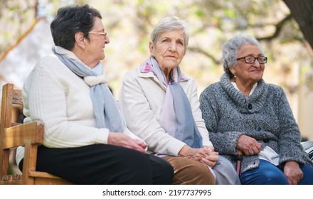 Happy Old Women Sitting On Bench In Park Smiling Happy Life Long Friends Enjoying Retirement Together