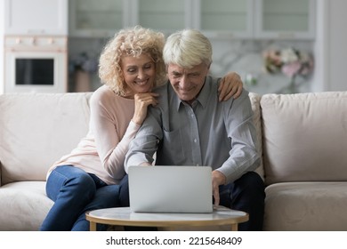 Happy Older Couple Sit On Couch Interested Staring At Laptop Screen Discuss Purchase, Make Order Via Eservices Smile Enjoy Modern Technology For Comfort Life. Leisure Of Senior 65s Couple Using Tech