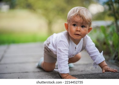 happy one year old baby boy sitting or crawling in chic festive summer clothes outdoor on the floor with magical, idyllic  flowery green garden trees in the background - Shutterstock ID 2214452735