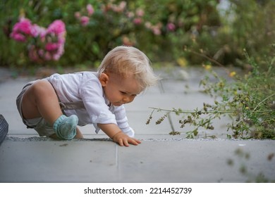 happy one year old baby boy sitting or crawling in chic festive summer clothes outdoor on the floor with magical, idyllic  flowery green garden trees in the background - Shutterstock ID 2214452739