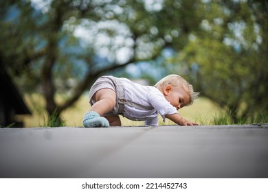 happy one year old baby boy sitting or crawling in chic festive summer clothes outdoor on the floor with magical, idyllic  flowery green garden trees in the background - Shutterstock ID 2214452743