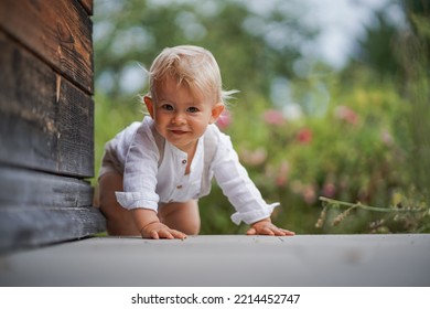 happy one year old baby boy sitting or crawling in chic festive summer clothes outdoor on the floor with magical, idyllic  flowery green garden trees in the background - Shutterstock ID 2214452747