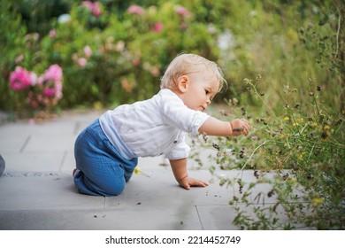 happy one year old baby boy sitting or crawling in chic festive summer clothes outdoor on the floor with magical, idyllic  flowery green garden trees in the background - Shutterstock ID 2214452749
