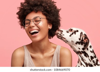 Happy overjoyed African American female feels glad as dalmatian dog smells her and shows devotion, isolated on pink background. Cheerful dark skinned woman with favourite pet. People and animals