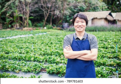 Happy Owner Asian Man Working And Gardening His Farm, Nursery Worker Planting In The Orchard, Small Business Owner Concept