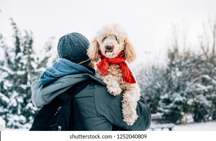 Happy Pet And His Owner Having Fun In The Snow In Winter Holiday Season. Winter Holiday Emotion. Man Holding Cute Puddle Dog With Red Scarf. Film Filter Image.