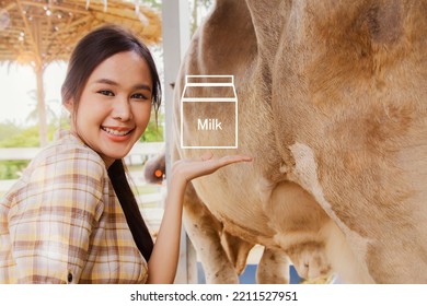 Happy Portrait Young Asian Woman Farmer Agribusiness And Dairy Cow, Offers Fresh Milk From Premium Breed Cows For Home Business Milk Production.