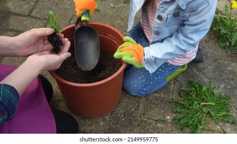 Happy Preschool Little Girl Kid Daughter Wear Works Gloves Humic Boots Planting Flowers In Pot In Garden. Child Helping Mother Outside. Family Nature Gardering, Environmental Spring Summer Concept