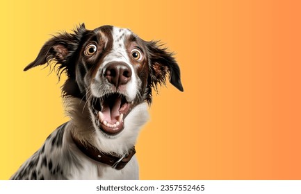 Happy puppy dog smiling on isolated yellow background. Banner smiling dog with happy expression. Isolated on blue yellow background. studio portrait of large   dog with tongue sticking out - Powered by Shutterstock