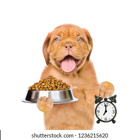 Happy puppy holding bowl of dry dog food and alarm clock. isolated on white background - Shutterstock ID 1236215620