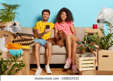 Happy Relaxed Couple Remove In New House, Sit Together With Pet At Comfortable Couch Against Messy New Apartment Interior, Unpacked Things In Cardboard Boxes, Lamps Covered With Plastic Wrap, Rags