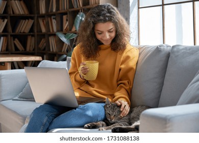 Happy relaxed hispanic teen girl student or freelancer relaxing sitting on couch holding laptop on lap working studying from home drinking tea, playing with cute pet cat in cozy sunny room on sofa.