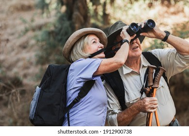 Happy retired couple enjoying nature in the Californian forest - Shutterstock ID 1912900738