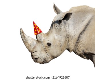 Happy Rhinoceros Head Portrait Wear Party Cap On The Horn - Concept Mixed Media Composition Image