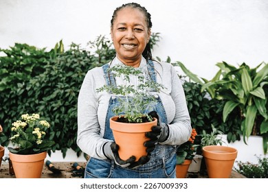 Happy senior African farmer woman gardening plants in outdoors garden - Agriculture and sustainability organic farming concept - Powered by Shutterstock