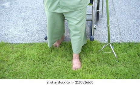 Happy Senior Asian Elder Man Getting Up From Wheelchair And Trying To Walk On The Grass Field To Practice In Physical Therapy. Very Old Man Walking On The Grass Field With Barefoot And Using Staff.