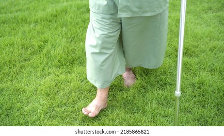 Happy Senior Asian Elder Man Getting Up From Wheelchair And Trying To Walk On The Grass Field To Practice In Physical Therapy. Very Old Man Walking On The Grass Field With Barefoot And Using Staff.