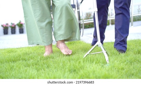 Happy Senior Asian Elder Man Getting Up From Wheelchair And Trying To Walk On The Grass Field To Practice In Physical Therapy. Very Old Man Walking On The Grass Field With Barefoot And Using Staff.