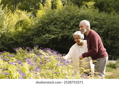 Happy senior biracial couple holding hands and looking at plants in garden at home, copy space. Senior lifestyle, retirement, nature and domestic life, unaltered. - Powered by Shutterstock