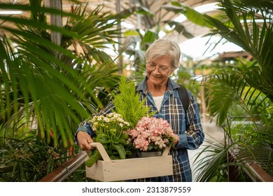 Happy senior caucasian woman in checkered shirt enjoying shopping in the greenhouse selecting pots of plants and flowers for her garden - Powered by Shutterstock