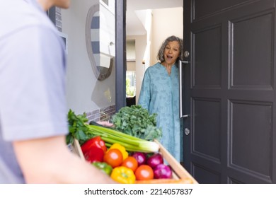 Happy senior caucasian women opening house door and welcoming courier with vegetables. Online grocery shopping. - Powered by Shutterstock