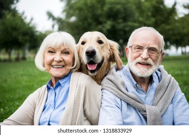 happy senior couple with adorable golden retriever dog in park - Powered by Shutterstock