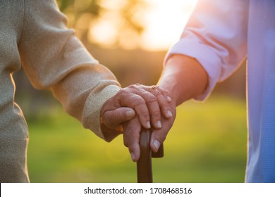 A happy senior couple asian old man and woman holding wooden walking stick hold hand each other and standing in park during sunrise or sunset . Senior healthcare and relationship concept.