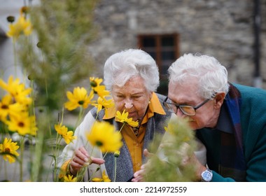 Happy Senior Couple At Autumn City Walk, Posing With Flowers.