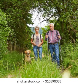 Happy Senior Couple With Dog On A Hike In Summer In The Nature